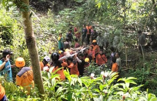 Sempat Dinyatakan Hilang, Tim SAR Gabungan Temukan Nenek di Kebun Tebu