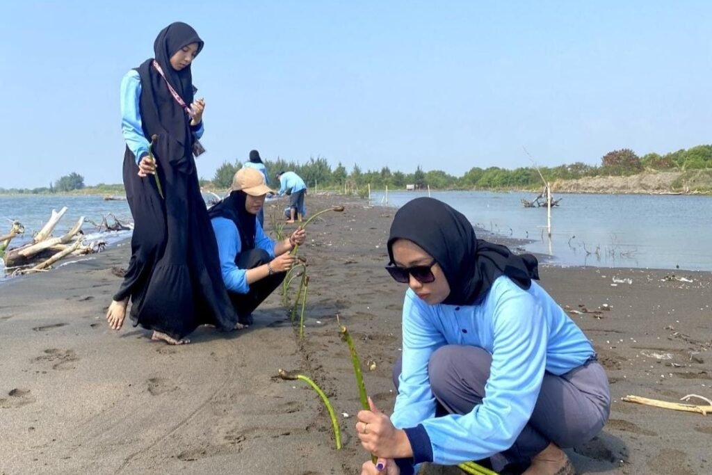KKN UIN Walisongo Semarang Lakukan Penanaman Bibit Mangrove di Tepi ...