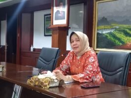 Deputi Kepala Perwakilan Bank Indonesia Provinsi Jateng Nita Rachmenia. (Foto : Dok JN)