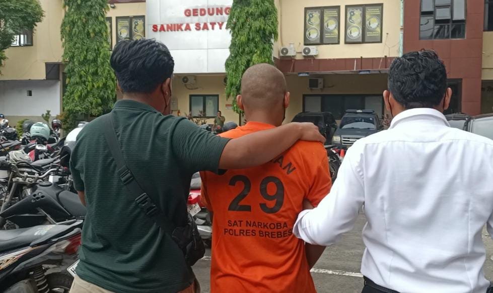 Penjual tembakau sintetis