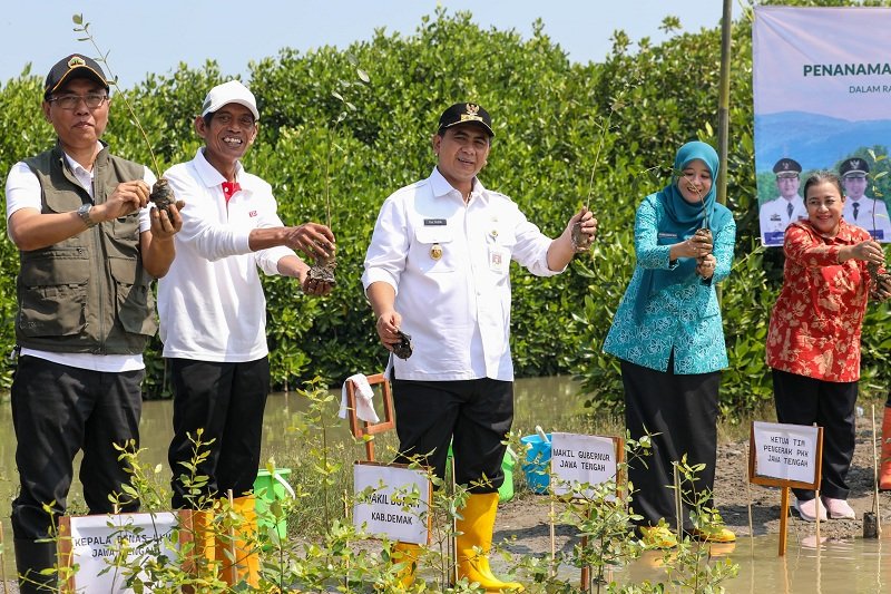demak