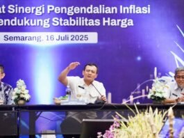 gubernur jateng ahmad luthfi