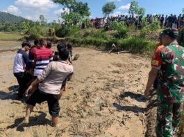 Proses evakuasi korban seorang Petani Bantarkawung Brebes