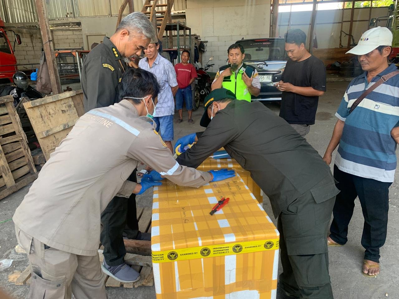 Karantina Jateng pengawasan lalu lintas media pembawa (MP) HPHK/HPIK/OPTK melalui bandara dan pelabuhan. (Foto : Dokumen