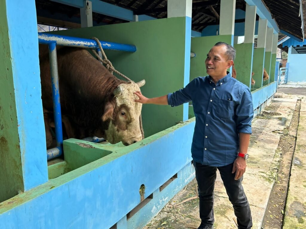 Ketua DPRD Jateng Sumanto saat mengunjungi peternakan sapi. (Foto : Dok DPRD Jateng)