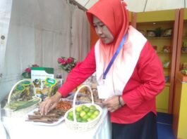 Berbagai bahan jamu tradisional Jawa Tengah. (Foto : Dok JN)