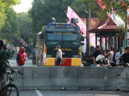 Demo pati