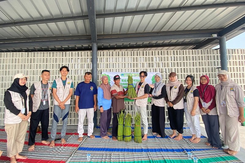 KKN UNNES GIAT 12 melaksanakan program peduli lingkungan dengan menanam ratusan bibit mangrove di Green Mangrove Foundation