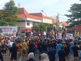demo pati