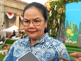 agustina wilujeng