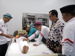 wabup brebes