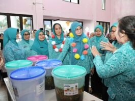 Ketua TP PKK Jateng Nawal Arafah Yasin ketika di pelatihan Keterampilan Usaha Ekonomi Daerah di Magelang Rabu