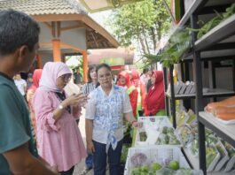Kunjungan Staf Khusus Menteri Koperasi Republik Indonesia, Ambar Pertiwiningrum, di Kelurahan Gedawang, Banyumanik, Minggu (7/9/2025). (Foto : Dok Pemkot Semarang)