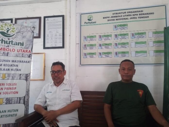 Klarifikasi isu kayu ilegal di Demak. (Foto: Sam)