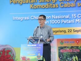 Kepala Perwakilan Bank Indonesia Provinsi Jawa Tengah Rahmat Dwisaputra. (Foto : Dok Bank Indonesia)