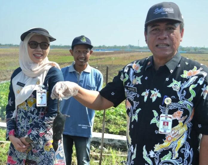 Bupati Demak Eisti’anah. (Foto : Sam)