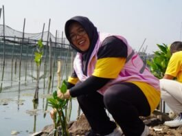 Srikandi PLN Indonesia Power