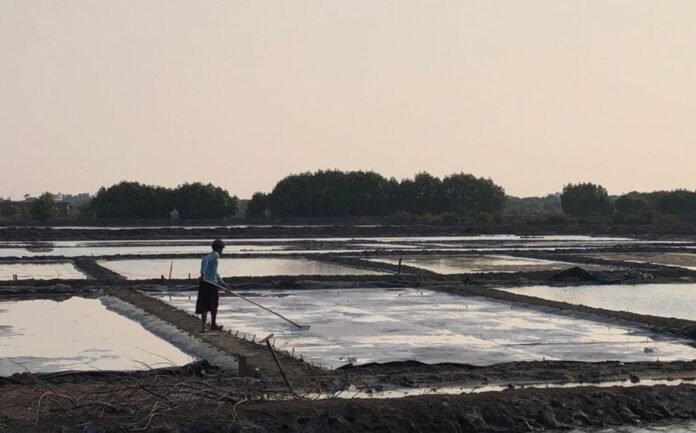 Seorang petani garam di Desa Babalan, Kecamatan Wedung, Demak. (Foto : Sam)