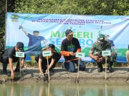 Polres Demak bersama jajaran menanam bibit mangrove dalam program “Mageri Segoro” di Desa Tambakbulusan, Kecamatan Karangtengah. (Foto : Sam)
