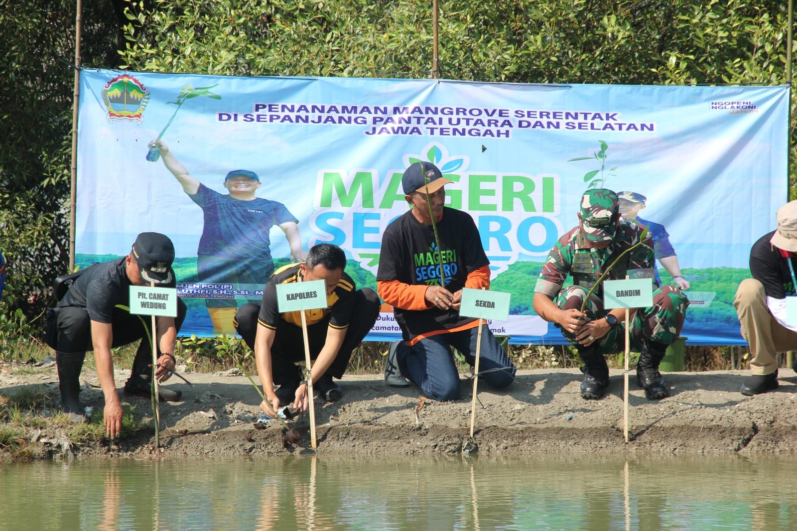 Polres Demak Polres Demak bersama jajaran menanam bibit mangrove dalam program “Mageri Segoro” di Desa Tambakbulusan, Kecamatan Karangtengah. (Foto : Sam)