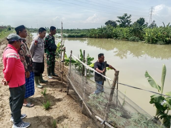 Tepi Sungai Tuntang di Desa Kembangan, Kecamatan Bonang, Demak, Jumat (24/10/2025). (Foto: Sam)