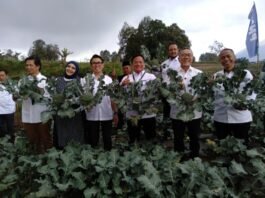 Menteri Koordinator Bidang Pangan RI, Zulkifli Hasan. (Foto : Dok JN)
