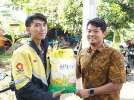PLN UP2D Jateng dan DIY