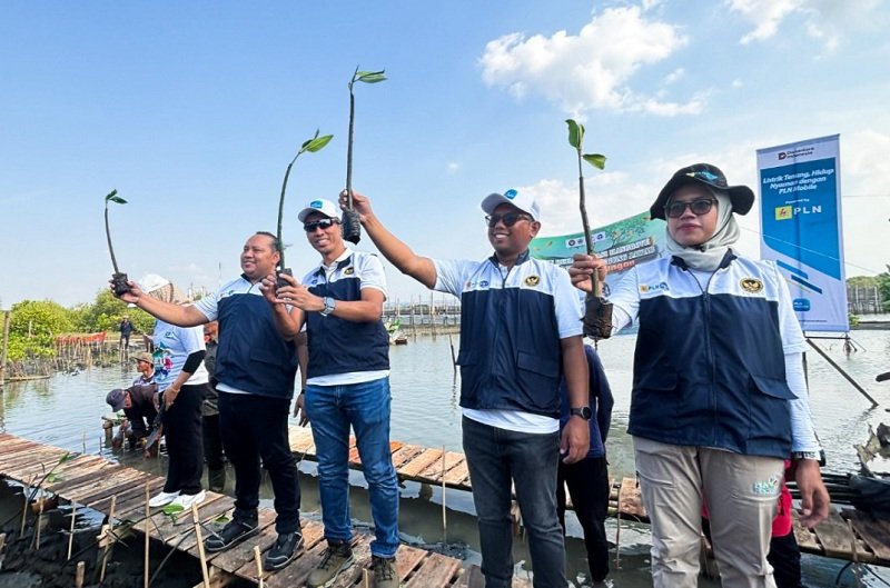 PLN UP3 Semarang