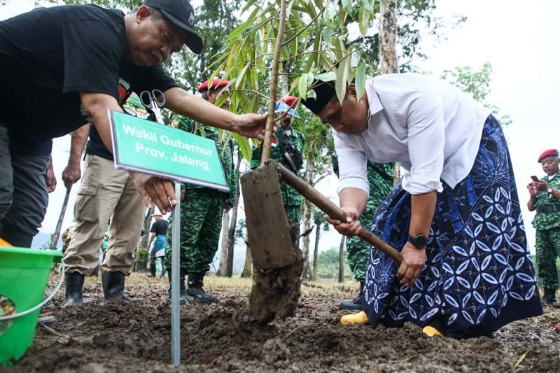 Tanam Pohon Taj Yasin Tanam Pohon Buah