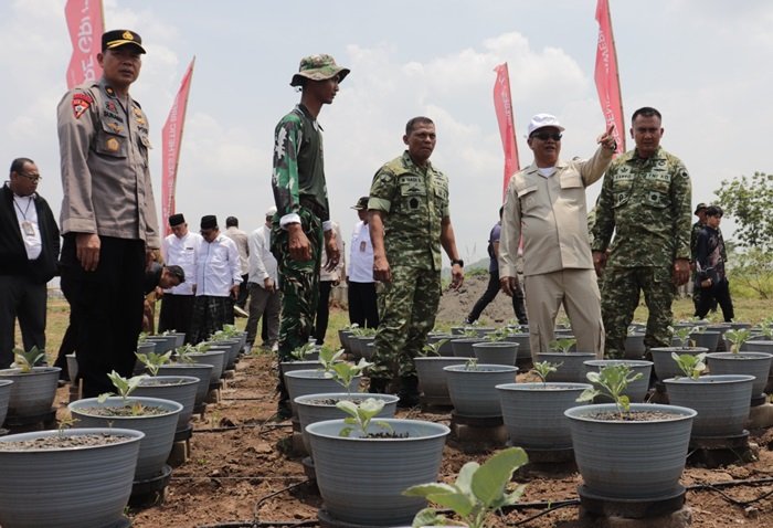 WhatsApp Image 2025-10-22 at 07.33.50