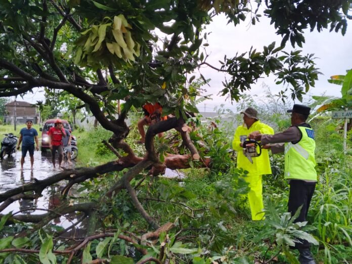 Evakuasi terhadap pohon tumbang. (Foto : Dok Humas Polres Karanganyar)