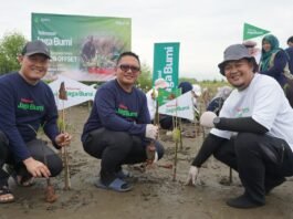 UIN Walisongo berpartisipasi aktif dalam kegiatan Penanaman Mangrove “Telkomsel Jaga Bumi” yang berlangsung di Pantai Muara Kencan, Kendal, Jawa Tengah. (Foto : UIN Walisongo Semarang)