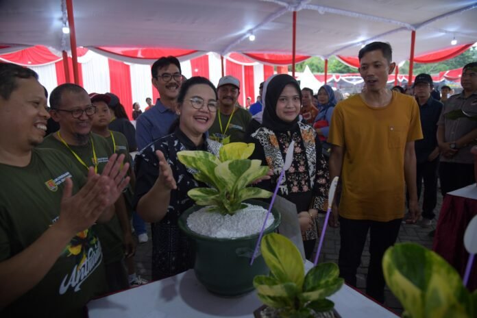 Pameran dan kontes tanaman hias di halaman parkir Eks Wonderia, Jalan Sriwijaya, Tegalsari, Candisari,  Minggu (16/11/2025). (Foto : Dok Pemkot Semarang)