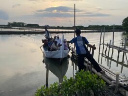 Survei lapangan di wilayah perairan pesisir Demak guna persiapan Program Blue-Coast. (Foto:Sam)