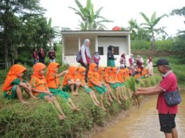 Tanam padi Desa Wisata Kandri