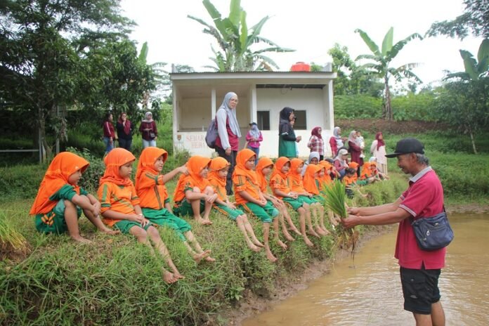 Tanam padi Desa Wisata Kandri