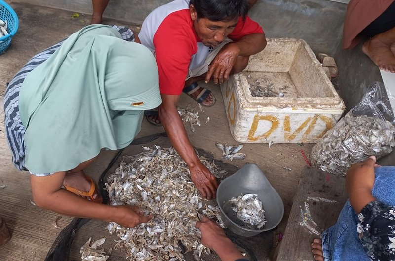 Produksi Ikan Asin