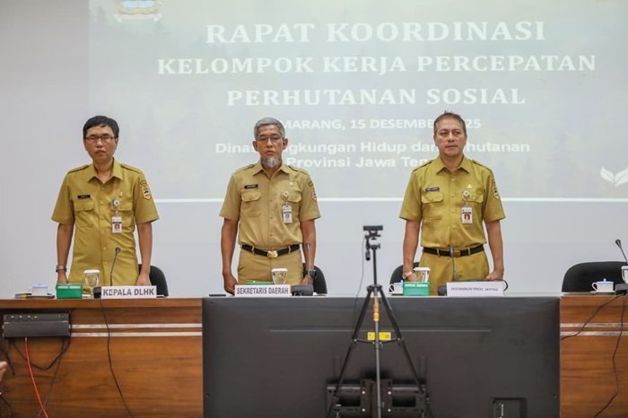 WhatsApp Image 2025-12-15 at 17.25.07