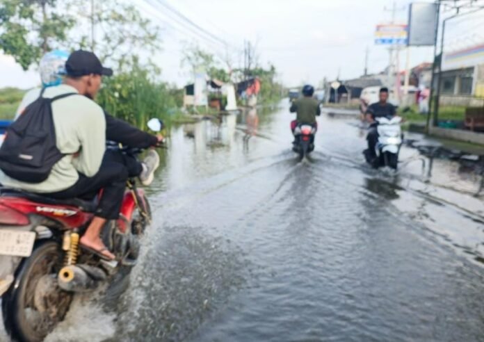 Kecamatan Bonang, yang terendam banjir rob selama hampir tiga bulan, mengganggu aktivitas warga dan akses ekonomi setempat, Senin (5/1/2026). (Foto:Sam)