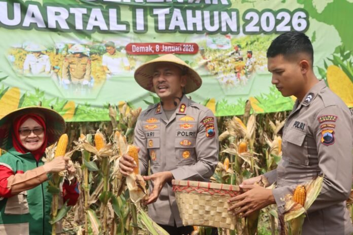 Kapolres Demak AKBP Ari Cahya Nugraha bersama stakeholder terkait seara simbolis Panen Raya Jagung Serentak Kuartal I Tahun 2026 di Desa Sumberejo, Kecamatan Mranggen, Demak, Kamis (8/1/2026). (Foto : Sam)