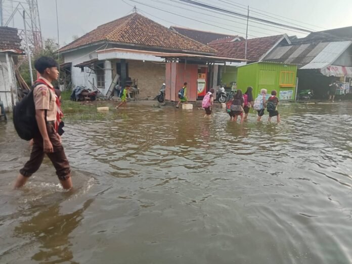 Banjir melanda Desa Tridonorejo, Kecamatan Bonang, Kabupaten Demak. (Foto : Sam)