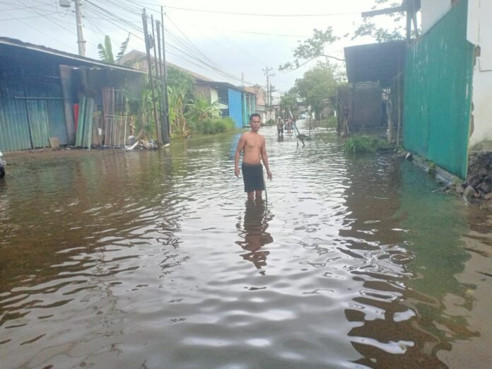 Banjir di Kabupaten Demak, Senin (12/01/2025). (Foto : Sam)