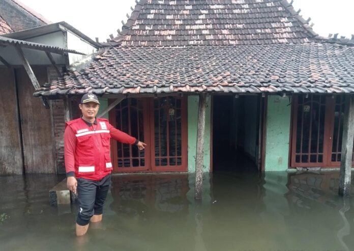 Banjir di Kabupaten Demak. (Foto : Sam)