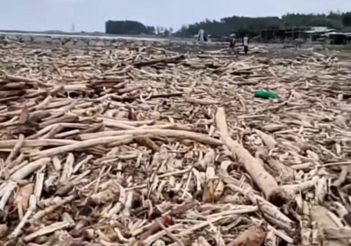 Tangkapan layar video tumpukan kayu di pantai Larangan Tegal. (Foto: Dok Facebook Asep Nanang)