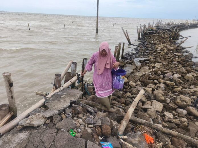 Warga bersama anak sekolah melintasi jalan penghubung Dukuh Tambaksari, Desa Bedono, Kecamatan Sayung, Demak, yang rusak parah akibat abrasi dan ombak pasang. (Foto:Sam)