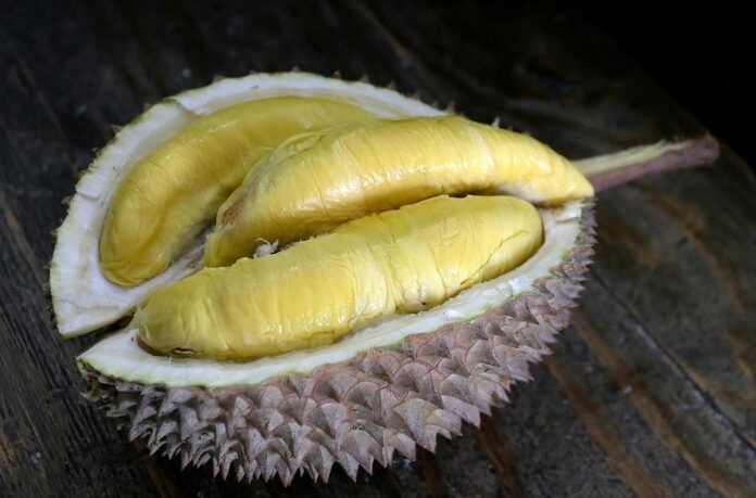 Festival durian Gunungpati Kota Semarang