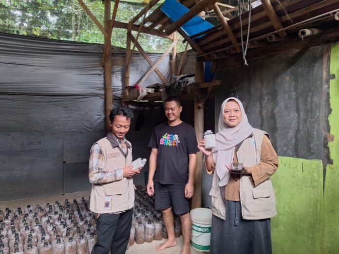 KKN UIN walisongo kunjungi UMKMjamur