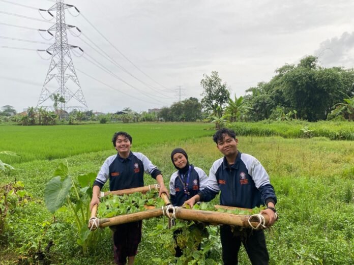 KKN UNDIP gelar Fitoremediasi di pekalongan
