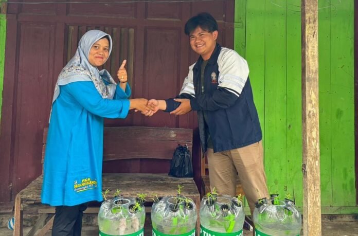 mahasiswa KKN UNDIP sosialisasi Aquaponik