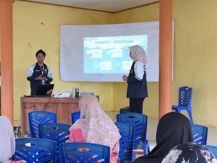 Mahasiswa KKN UNDIP sosialiasi hidroponik